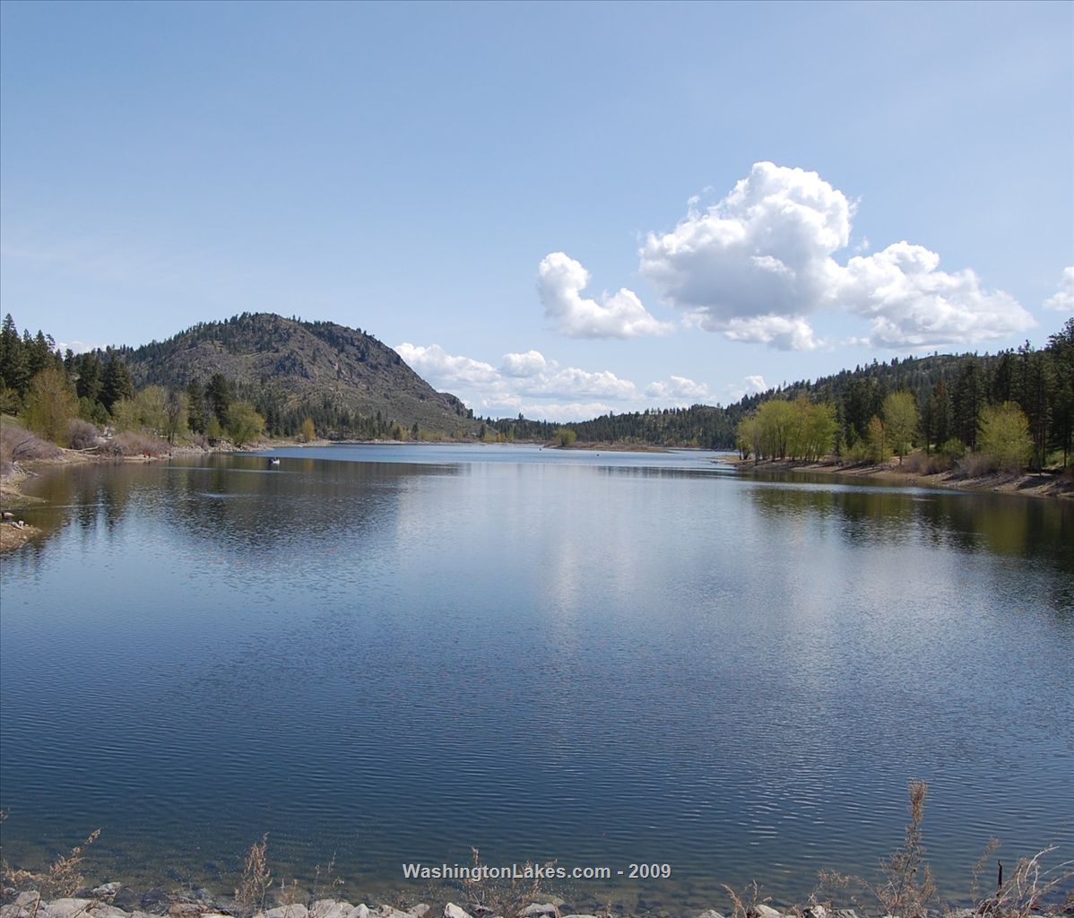 Leader Lake Report, Okanogan County, WA NWFR